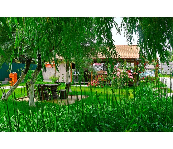 Цветущая территория базы