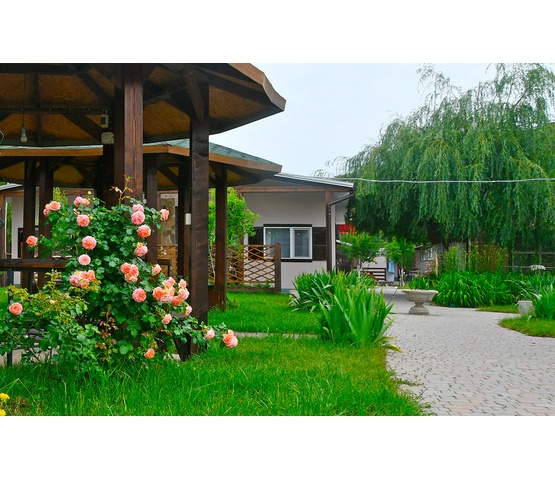 Цветущая территория базы