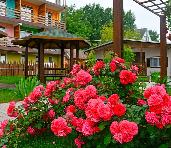 Цветущая территория базы