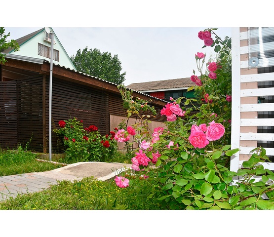 Котеджі біля берега Чорного моря