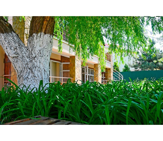 Котеджі біля берега Чорного моря