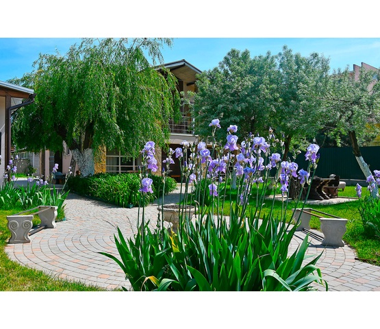 Котеджі біля берега Чорного моря