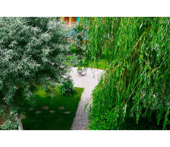 Цветущая территория базы