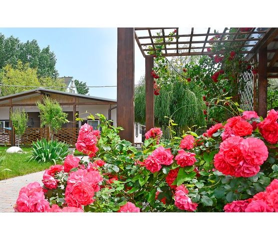 Цветущая территория базы