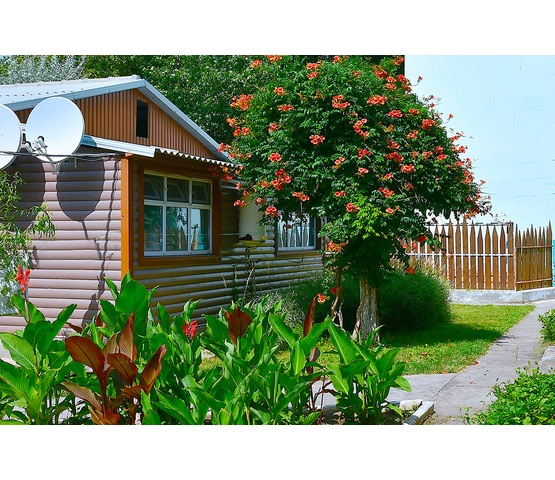 Котеджі біля берега Чорного моря