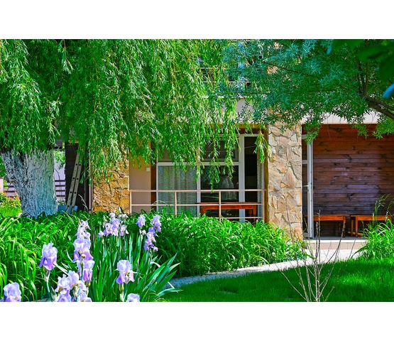 Цветущая территория базы